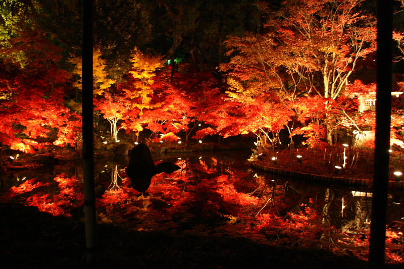 本土寺の紅葉は千葉県松戸市で意外にも穴場なのです 別名あじさい寺 使えるトレンド 情報